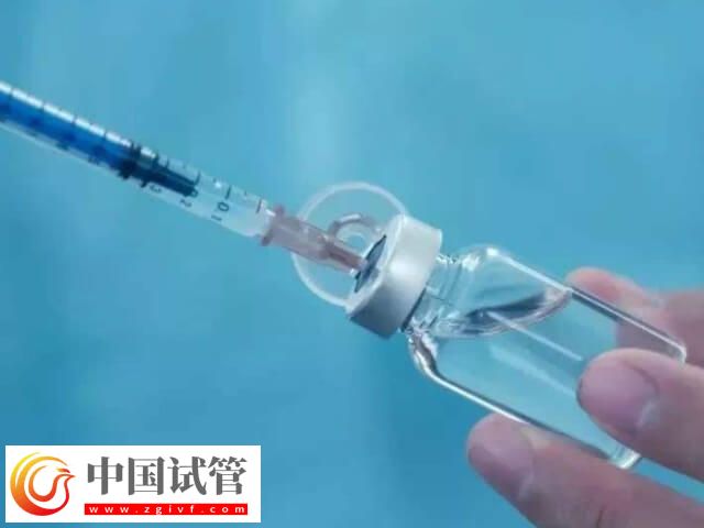 取17個(gè)卵配幾個(gè)胚胎(圖1)