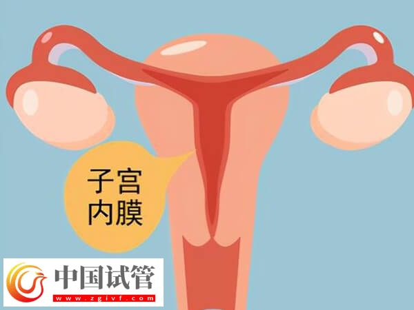 子宮內膜厚度多少做試管嬰兒才能成功著床?(圖2) 子宮內膜厚度多少做試管嬰兒才能成功著床?(圖2)