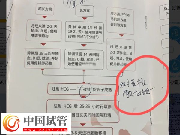 鄭大一附院生殖科最厲害三個醫生(圖2)