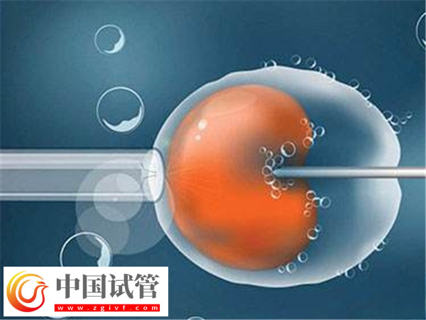 日照人民醫(yī)院試管條件(圖3) 日照人民醫(yī)院試管條件(圖3)