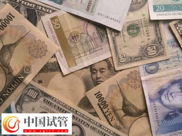 自然周期取卵的費用多少(圖1)