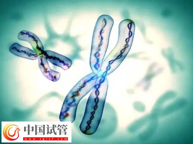 試管三代囊胚檢測(cè)有沒有風(fēng)險(xiǎn)(圖1) 試管三代囊胚檢測(cè)有沒有風(fēng)險(xiǎn)(圖1)