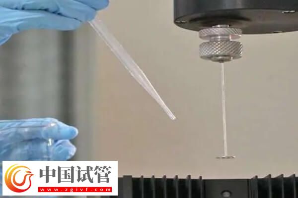 試管3代為什么還會發育異常(圖1)