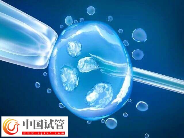 試管卵泡16mm取了能不能配成(圖1)