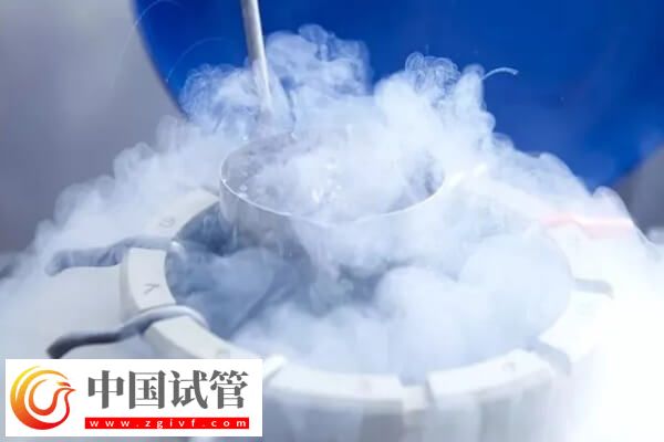 囊胚解凍后幾小時移植(圖1)