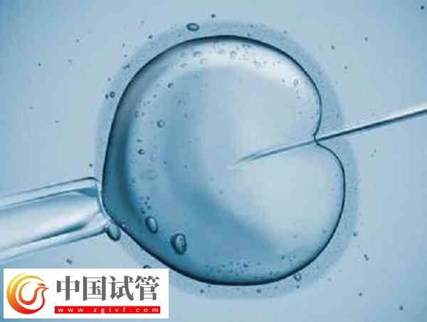 囊胚解凍后幾小時移植(圖2)
