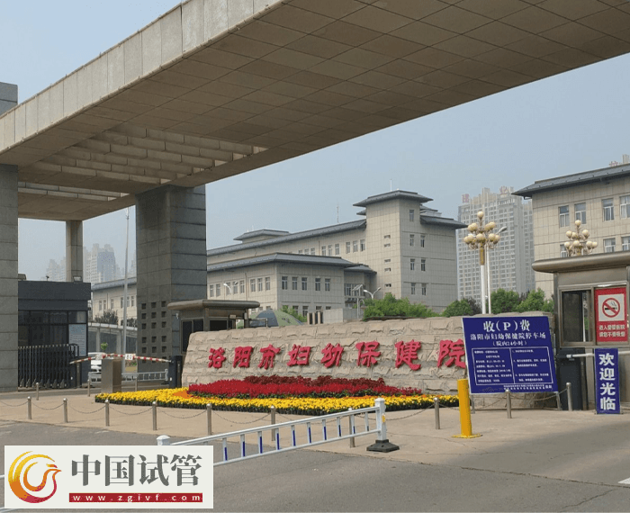 洛陽(yáng)市婦幼保健院試管需要什么證件(圖1) 洛陽(yáng)市婦幼保健院試管需要什么證件(圖1)