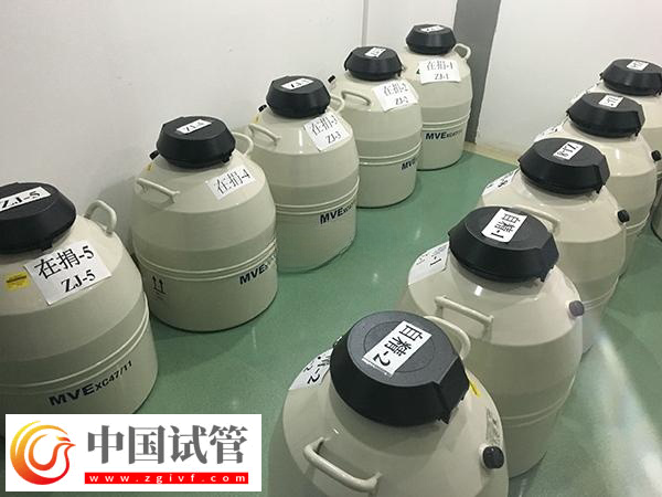 鄭州市婦幼保健院生殖科(圖2)