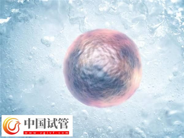 在新加坡凍卵的年齡上限是多少(圖2)