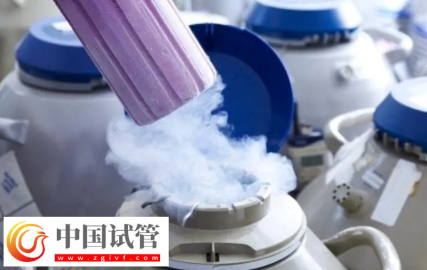 前往新加坡凍卵的限制條件(圖1)