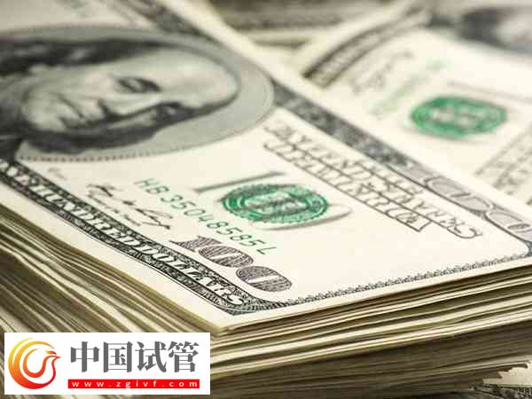 前往柬埔寨凍卵的價格(圖1)