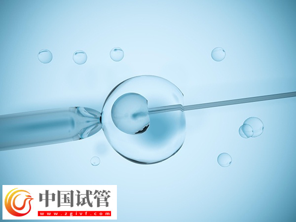 單身在馬來西亞做試管違不違法(圖1)