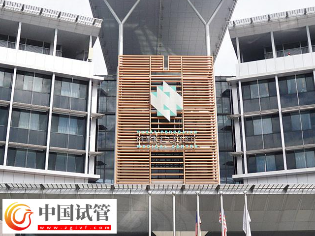 前往馬來西亞做試管嬰兒選哪家醫院好(圖2)