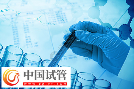 柬埔寨44歲女性供卵試管嬰兒成功率概覽：預(yù)計(jì)成功率在30%至40%之間(圖1)