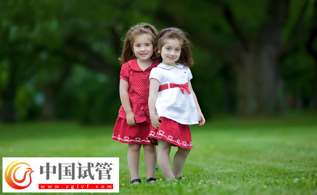 大連試管嬰兒費用解析:雙胞胎與單胞胎的差異!(圖1) 大連試管嬰兒費用解析:雙胞胎與單胞胎的差異!(圖1)