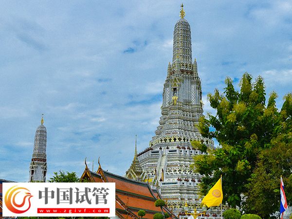 泰國(guó)試管嬰兒流程(圖1) 泰國(guó)試管嬰兒流程(圖1)