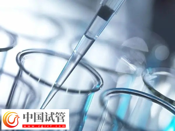 泰國試管嬰兒能活多久(圖2)