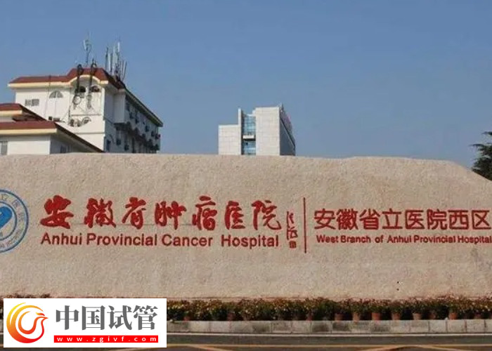 安徽省立醫(yī)院凍胚時間到了怎么續(xù)費(圖1) 安徽省立醫(yī)院凍胚時間到了怎么續(xù)費(圖1)