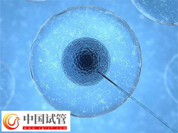 合肥省立醫(yī)院試管成功率怎么樣(圖2) 合肥省立醫(yī)院試管成功率怎么樣(圖2)