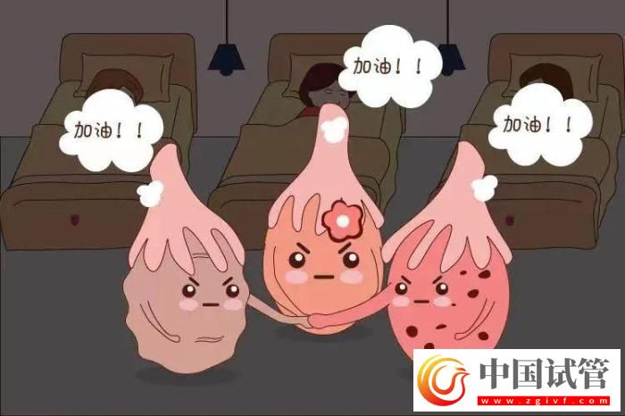 試管嬰兒有哪些出乎意料的概念？(圖3)