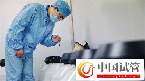 試管打了降調(diào)針為什么還是失敗了?盤點試管失敗的多種因素插圖 試管打了降調(diào)針為什么還是失敗了?(圖1)