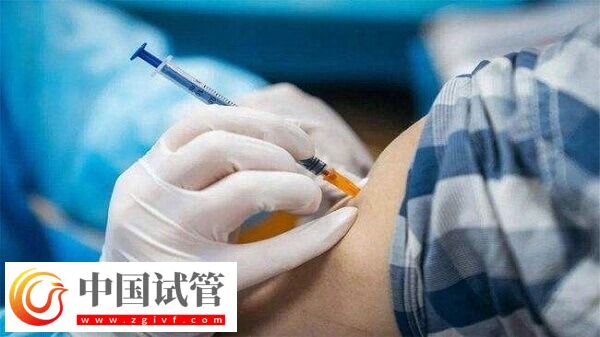 試管嬰兒什么情況下打樂芮(圖1)