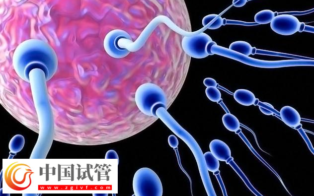 上海新華醫(yī)院?jiǎn)紊砦椿闊o(wú)證怎么做三代試管嬰兒生子?(圖1) 上海新華醫(yī)院?jiǎn)紊砦椿闊o(wú)證怎么做三代試管嬰兒生子?(圖1)