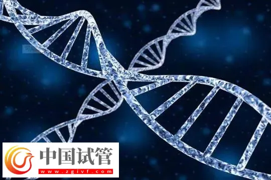 臺州醫院單身女性怎么生孩子？附單身試管的步驟流程(圖1)