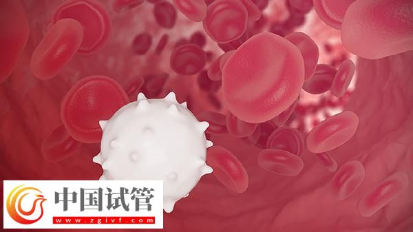 血常規五項是哪五項(圖2)