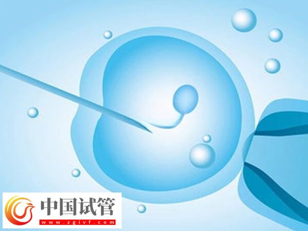 29歲做試管成功率多高(圖1) 29歲做試管成功率多高(圖1)