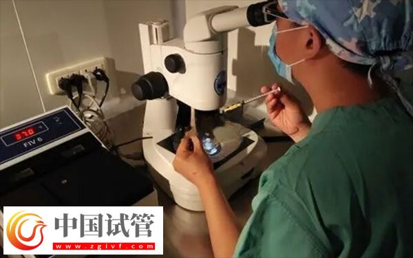 取卵傷口愈合要多久(圖1)