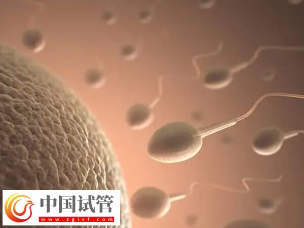 試管移植幾次成功率高(圖1)