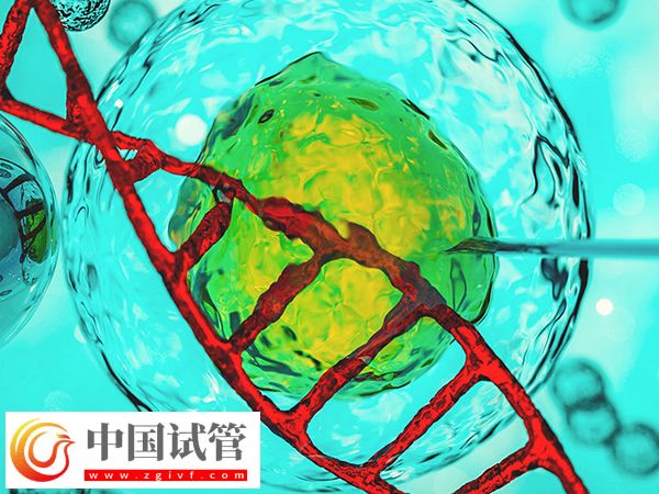 2025加拿大試管過程(圖1)