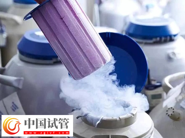 廣州凍卵是否合法(圖1)