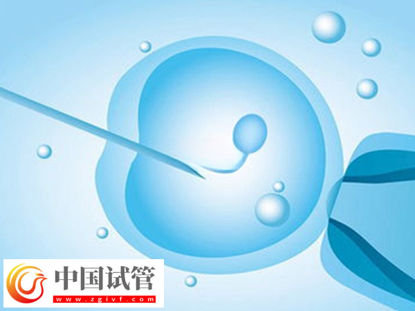 前往加拿大做供精試管的要求是什么(圖1)