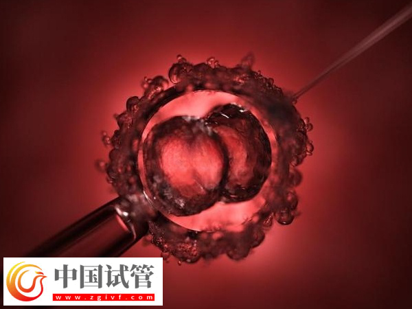 2025在西班牙做試管嬰兒需要什么條件(圖1)