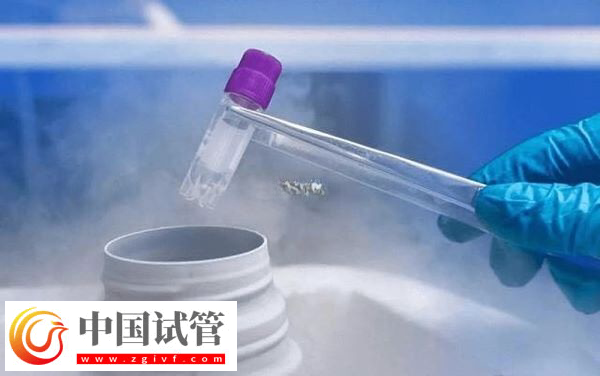 2025加拿大供卵是否違法(圖1) 2025加拿大供卵是否違法(圖1)