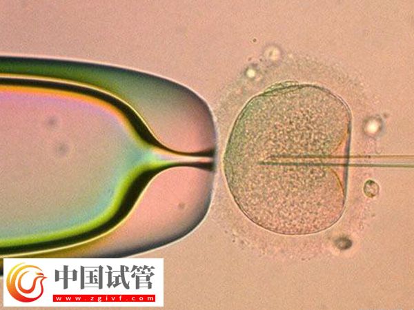 前往加拿大做試管的要求(圖1)