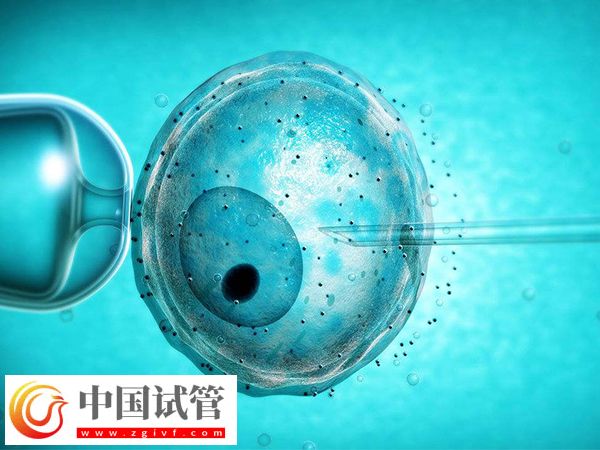 2025加拿大試管一個治療周期是多久(圖1)