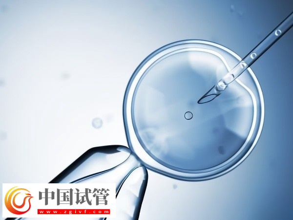 2025加拿大試管一個治療周期是多久(圖2)