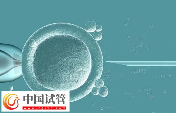 27歲試管嬰兒成功率有多少(圖2)