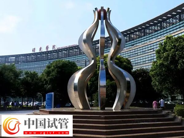 上海曙光醫院試管成功率排名第幾(圖1)