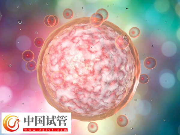 上海曙光醫院試管成功率排名第幾(圖3)