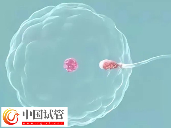 高齡試管有什么風險(圖1)