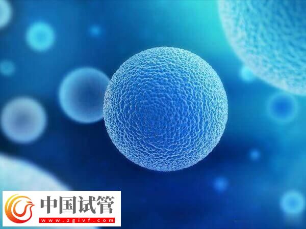 超長方案卵泡少是好事還是壞事(圖1) 超長方案卵泡少是好事還是壞事(圖1)