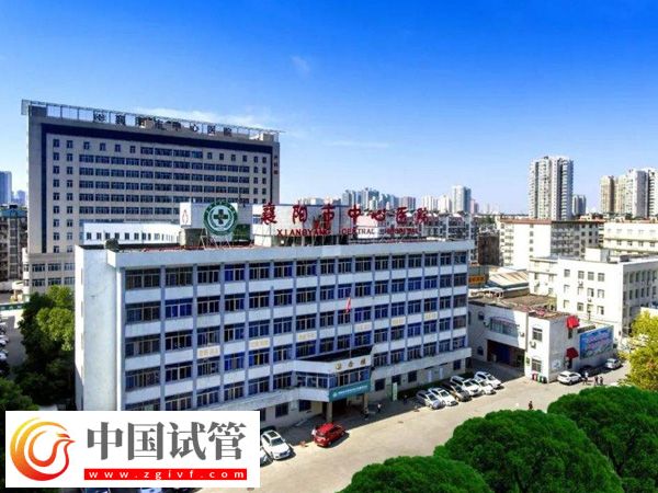 襄陽市中心醫院試管男還是女多(圖1)