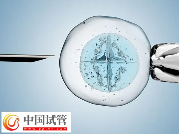 咸寧市中心醫(yī)院試管注意事項(圖2) 咸寧市中心醫(yī)院試管注意事項(圖2)