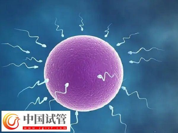 實施試管懷孕4個月穩不穩定(圖2)