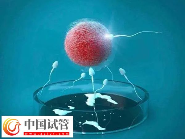 銀川附屬醫院和婦幼保健院做試管哪家好(圖1)