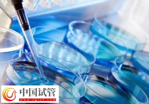 怎樣提高胚胎移植著床率(圖1) 怎樣提高胚胎移植著床率(圖1)